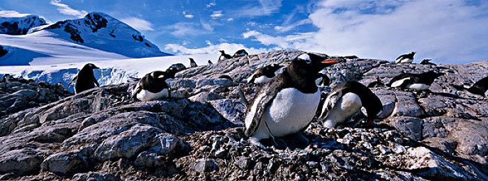 麻枝准新作《Heaven Burns Red》延期至2022年 新宣传片公布