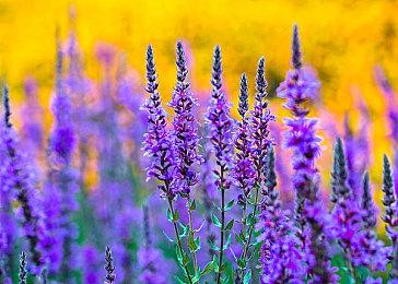 《宇宙机器人》IGN 9分 MTC 94分被评为“必玩游戏”